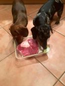 Charlie und Bella