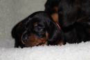 Hilde4