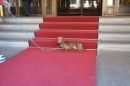 Carlo zu Besuch im Hotel Adlon