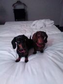 Elli u Trudie8
