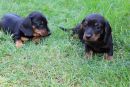 Enya und Edmund jr.