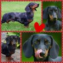 Trudie und Bommel