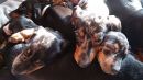 wir kuscheln...