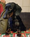 Balthasar
