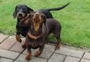 Greta u Naomi2