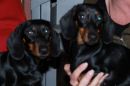 Mama und Tochter