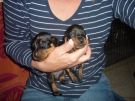 Trudie u. Schwester Tinkabell.jpg