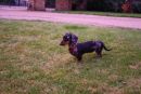 Trudie4