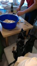 Hettie u Flo