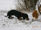 Lotte im  Winter 005.jpg