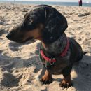 Trudie3