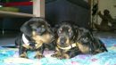 sooo lieb....