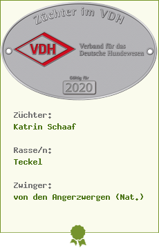 Zum VDH Züchter-Profil // Katrin Schaaf