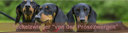 Link zu Prösezwerge