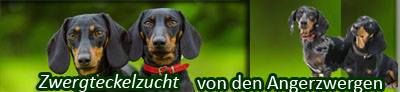Angerzwerge
