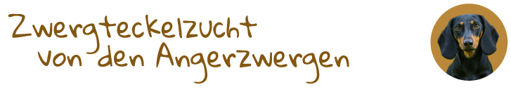 Logo Angerzwerge